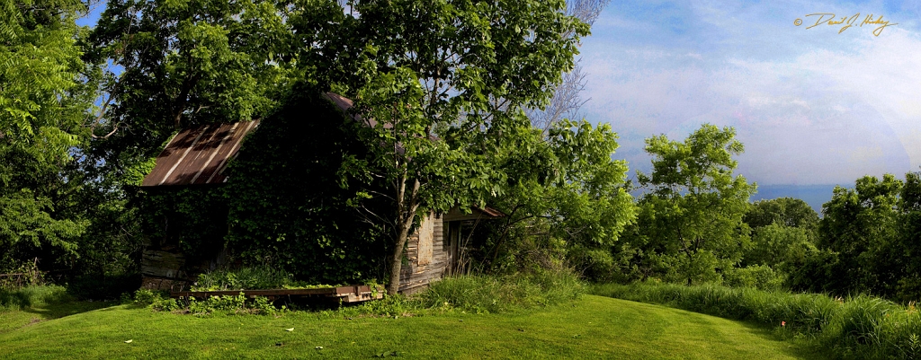 Shack Panorama